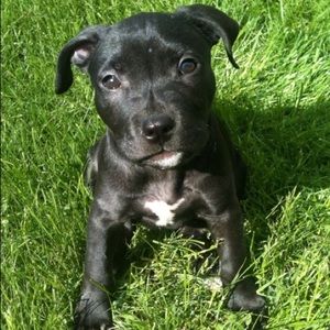 Meet your Posher, Kristen